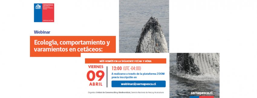 Ecología y varamiento de cetáceos en Chile