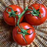 Día del Tomate 2023: Centro Tecnológico Agrícola abre inscripciones para participar en el evento