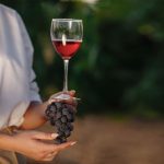 Startups Tecnológicas y Proveedores del Vino serán convocados para Seminario Internacional Wine Innova Tech 2024 